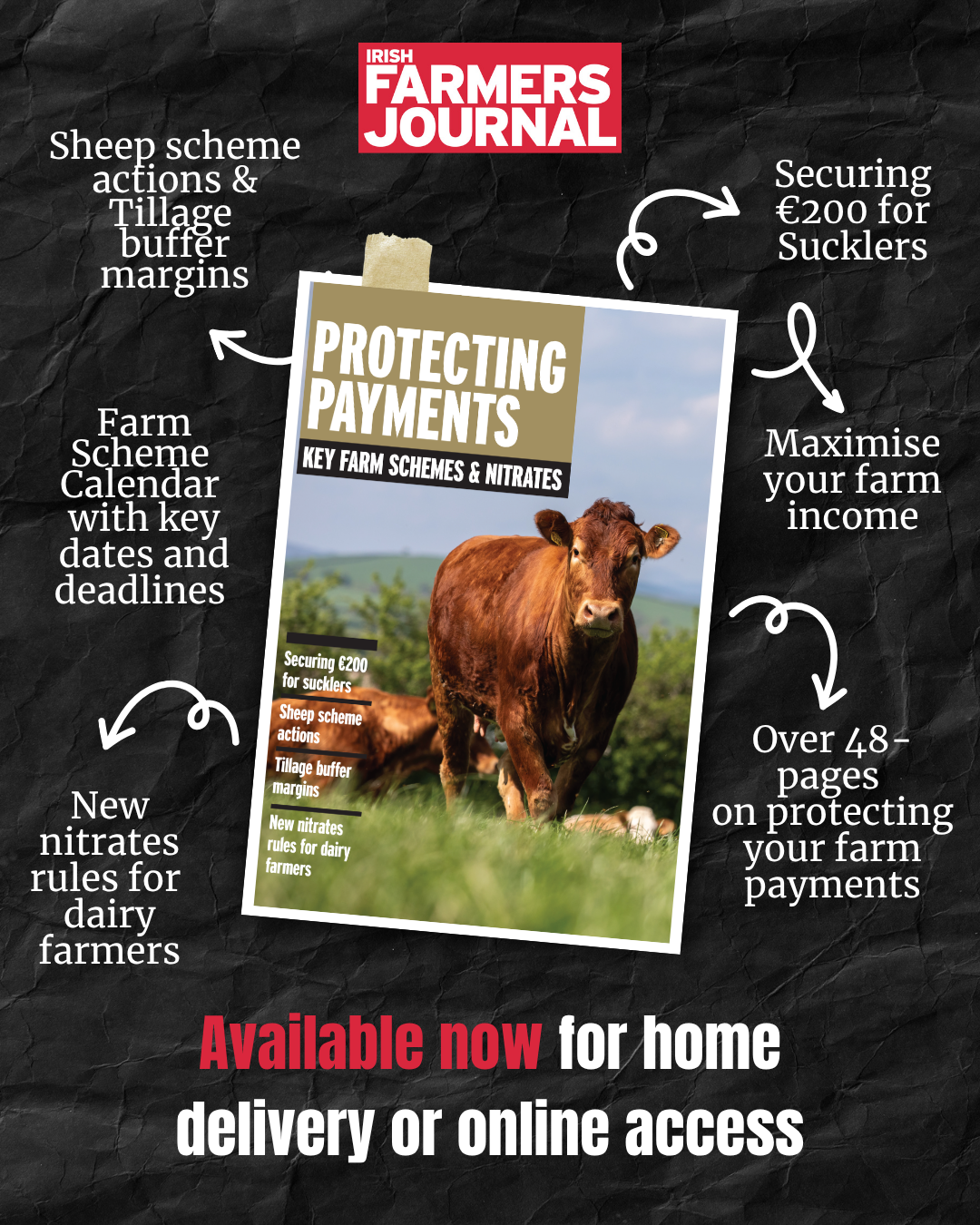 Inside spread of the Protecting Payments booklet, showing scheme deadlines and payment tables