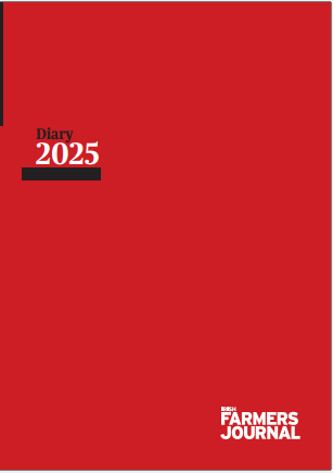 2025 Diary